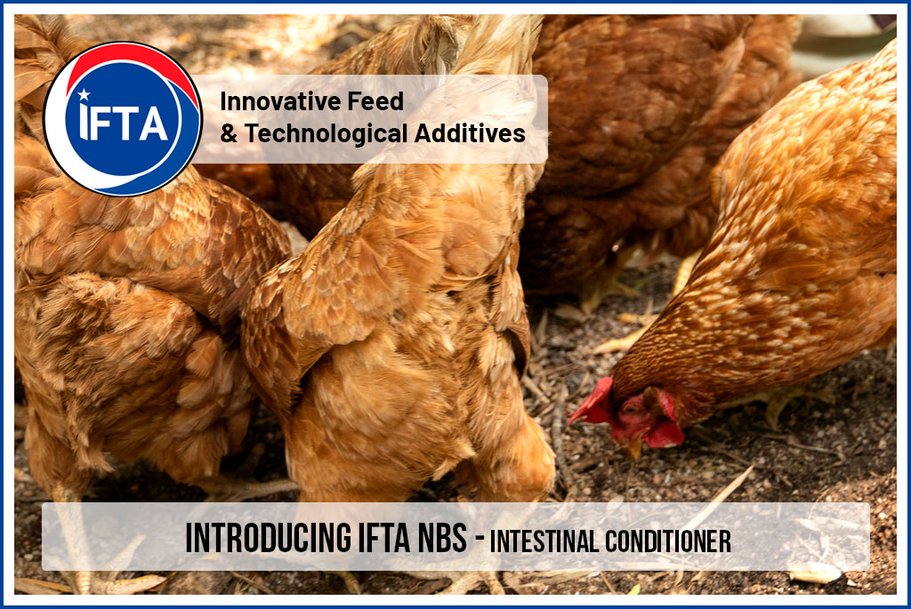 We are thrilled to introduce IFTA NBS, our Intestinal Conditioner, designed to optimize animal health and performance naturally. 